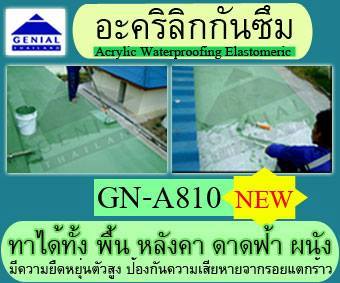 จำหน่าย  GN  A 810 อะคริลิกกันซึม Acrylic Waterproofing Elastomeric น้ำยาทากันซึมสูตรอะคริลิก ติดต่อคุณต่าย 0982866554